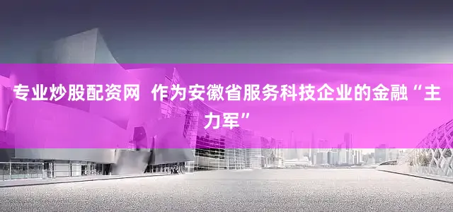 专业炒股配资网  作为安徽省服务科技企业的金融“主力军”