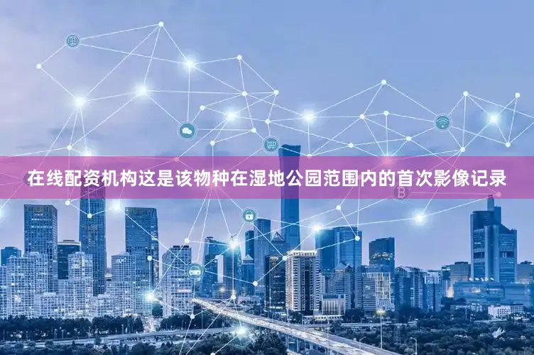 在线配资机构这是该物种在湿地公园范围内的首次影像记录