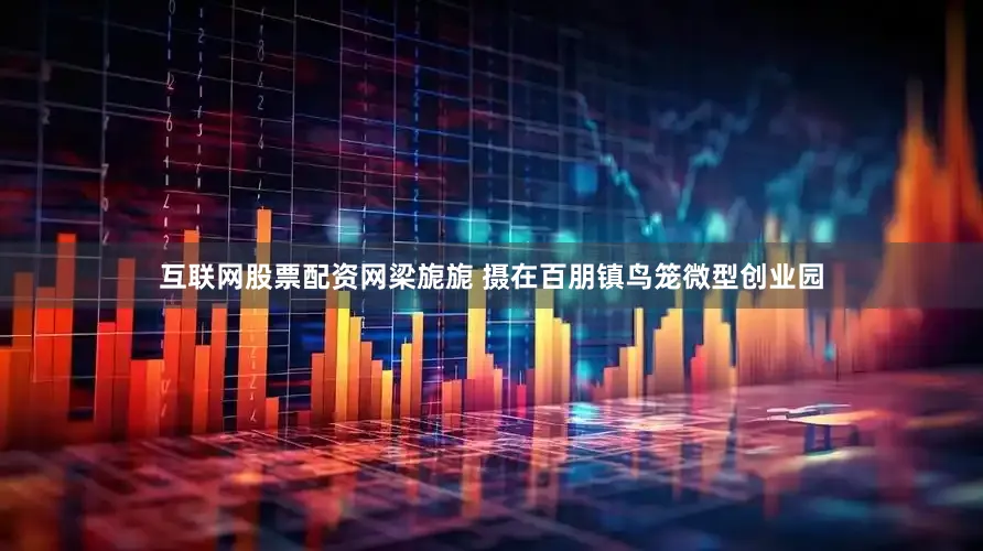 互联网股票配资网梁旎旎 摄在百朋镇鸟笼微型创业园